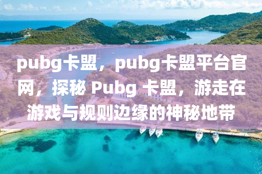 pubg卡盟，pubg卡盟平台官网，探秘 Pubg 卡盟，游走在游戏与规则边缘的神秘地带