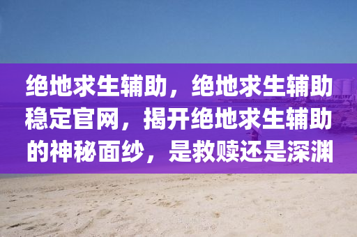 绝地求生辅助，绝地求生辅助稳定官网，揭开绝地求生辅助的神秘面纱，是救赎还是深渊