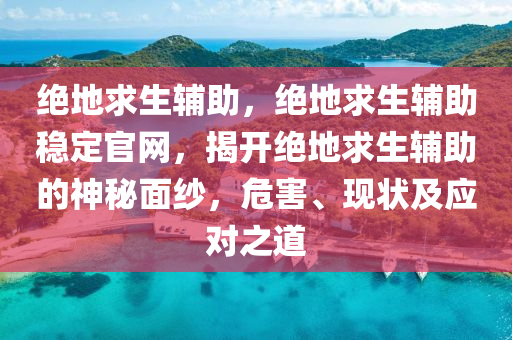 绝地求生辅助，绝地求生辅助稳定官网，揭开绝地求生辅助的神秘面纱，危害、现状及应对之道
