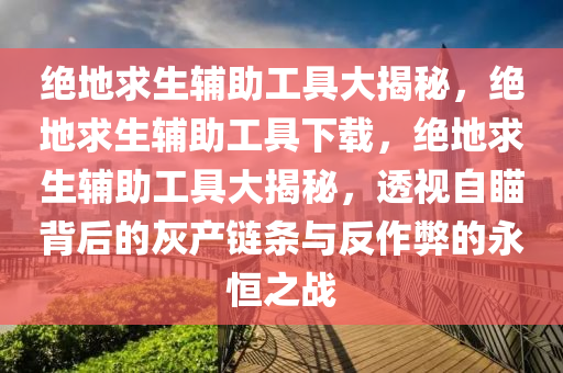 绝地求生辅助工具大揭秘，绝地求生辅助工具下载，绝地求生辅助工具大揭秘，透视自瞄背后的灰产链条与反作弊的永恒之战