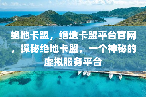绝地卡盟，绝地卡盟平台官网，探秘绝地卡盟，一个神秘的虚拟服务平台