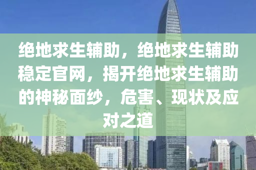 绝地求生辅助，绝地求生辅助稳定官网，揭开绝地求生辅助的神秘面纱，危害、现状及应对之道