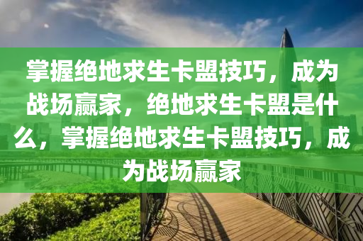 掌握绝地求生卡盟技巧，成为战场赢家，绝地求生卡盟是什么，掌握绝地求生卡盟技巧，成为战场赢家