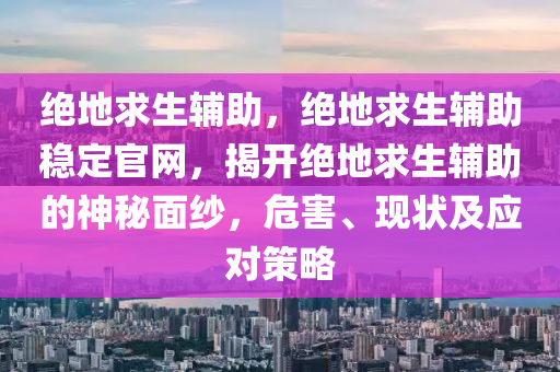 绝地求生辅助，绝地求生辅助稳定官网，揭开绝地求生辅助的神秘面纱，危害、现状及应对策略
