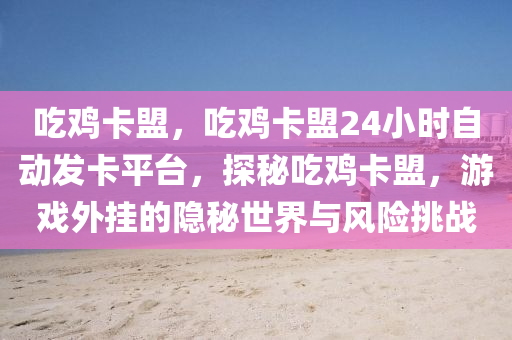 吃鸡卡盟，吃鸡卡盟24小时自动发卡平台，探秘吃鸡卡盟，游戏外挂的隐秘世界与风险挑战