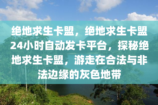 绝地求生卡盟，绝地求生卡盟24小时自动发卡平台，探秘绝地求生卡盟，游走在合法与非法边缘的灰色地带