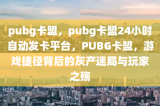 pubg卡盟，pubg卡盟24小时自动发卡平台，PUBG卡盟，游戏捷径背后的灰产迷局与玩家之殇