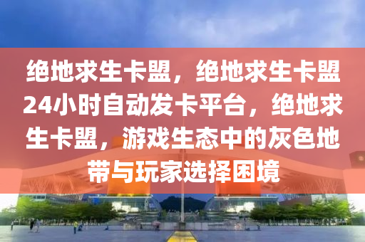 绝地求生卡盟，绝地求生卡盟24小时自动发卡平台，绝地求生卡盟，游戏生态中的灰色地带与玩家选择困境