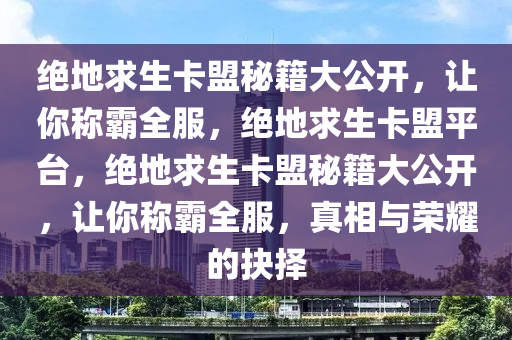绝地求生卡盟秘籍大公开，让你称霸全服，绝地求生卡盟平台，绝地求生卡盟秘籍大公开，让你称霸全服，真相与荣耀的抉择