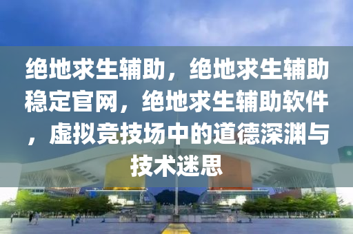 绝地求生辅助，绝地求生辅助稳定官网，绝地求生辅助软件，虚拟竞技场中的道德深渊与技术迷思