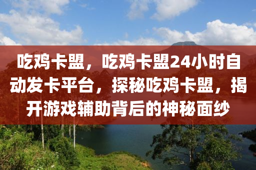 吃鸡卡盟，吃鸡卡盟24小时自动发卡平台，探秘吃鸡卡盟，揭开游戏辅助背后的神秘面纱