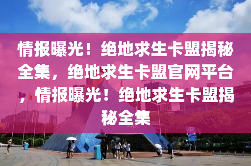 情报曝光！绝地求生卡盟揭秘全集，绝地求生卡盟官网平台，情报曝光！绝地求生卡盟揭秘全集