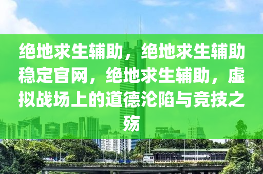 绝地求生辅助，绝地求生辅助稳定官网，绝地求生辅助，虚拟战场上的道德沦陷与竞技之殇