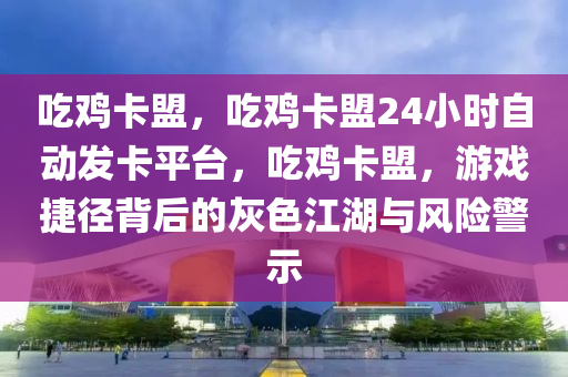 吃鸡卡盟，吃鸡卡盟24小时自动发卡平台，吃鸡卡盟，游戏捷径背后的灰色江湖与风险警示