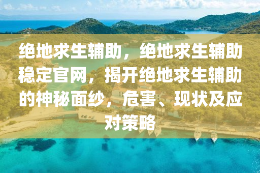 绝地求生辅助，绝地求生辅助稳定官网，揭开绝地求生辅助的神秘面纱，危害、现状及应对策略