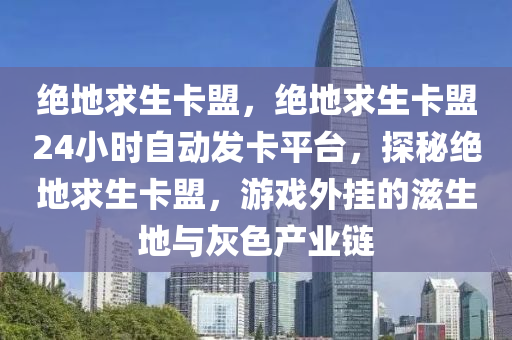 绝地求生卡盟，绝地求生卡盟24小时自动发卡平台，探秘绝地求生卡盟，游戏外挂的滋生地与灰色产业链