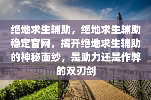 绝地求生辅助，绝地求生辅助稳定官网，揭开绝地求生辅助的神秘面纱，是助力还是作弊的双刃剑