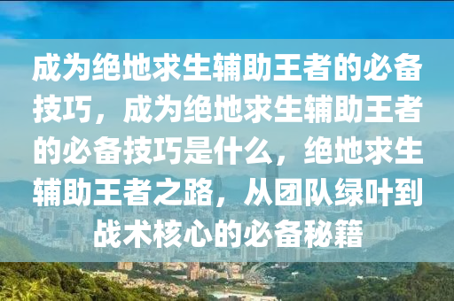 成为绝地求生辅助王者的必备技巧，成为绝地求生辅助王者的必备技巧是什么，绝地求生辅助王者之路，从团队绿叶到战术核心的必备秘籍