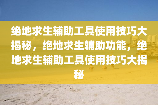 绝地求生辅助工具使用技巧大揭秘，绝地求生辅助功能，绝地求生辅助工具使用技巧大揭秘