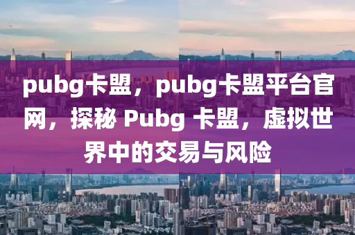 pubg卡盟，pubg卡盟平台官网，探秘 Pubg 卡盟，虚拟世界中的交易与风险