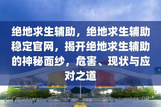 绝地求生辅助，绝地求生辅助稳定官网，揭开绝地求生辅助的神秘面纱，危害、现状与应对之道
