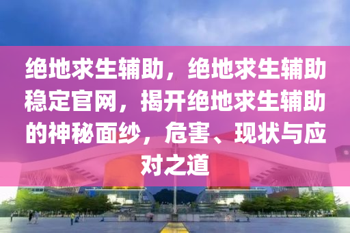 绝地求生辅助，绝地求生辅助稳定官网，揭开绝地求生辅助的神秘面纱，危害、现状与应对之道