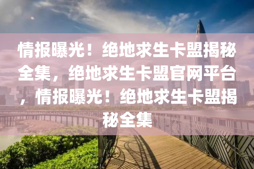 情报曝光！绝地求生卡盟揭秘全集，绝地求生卡盟官网平台，情报曝光！绝地求生卡盟揭秘全集
