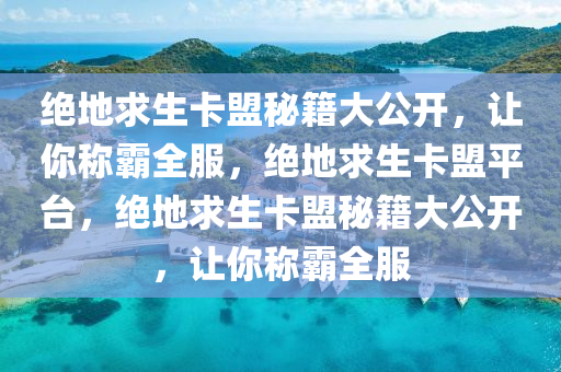 绝地求生卡盟秘籍大公开，让你称霸全服，绝地求生卡盟平台，绝地求生卡盟秘籍大公开，让你称霸全服
