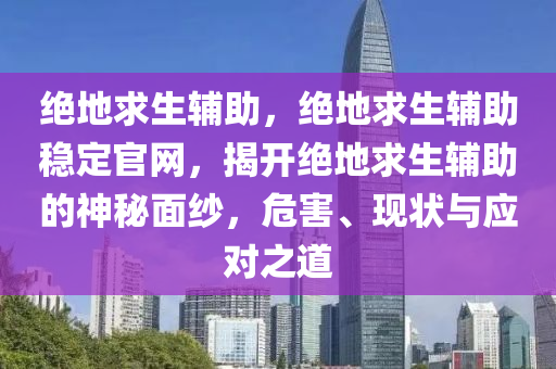 绝地求生辅助，绝地求生辅助稳定官网，揭开绝地求生辅助的神秘面纱，危害、现状与应对之道
