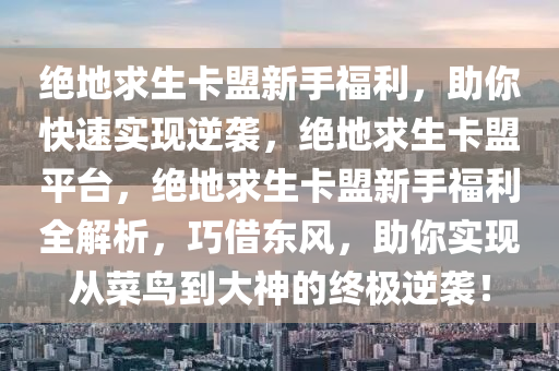 绝地求生卡盟新手福利，助你快速实现逆袭，绝地求生卡盟平台，绝地求生卡盟新手福利全解析，巧借东风，助你实现从菜鸟到大神的终极逆袭！