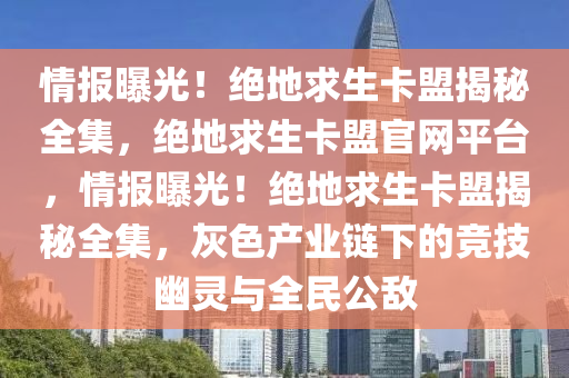 情报曝光！绝地求生卡盟揭秘全集，绝地求生卡盟官网平台，情报曝光！绝地求生卡盟揭秘全集，灰色产业链下的竞技幽灵与全民公敌
