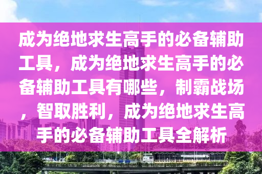 成为绝地求生高手的必备辅助工具，成为绝地求生高手的必备辅助工具有哪些，制霸战场，智取胜利，成为绝地求生高手的必备辅助工具全解析