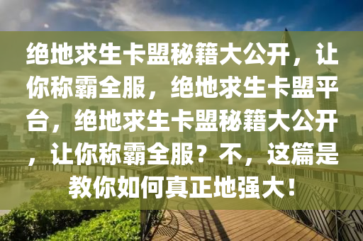 绝地求生卡盟秘籍大公开，让你称霸全服，绝地求生卡盟平台，绝地求生卡盟秘籍大公开，让你称霸全服？不，这篇是教你如何真正地强大！