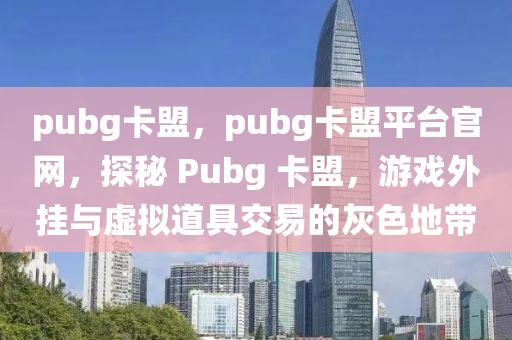 pubg卡盟，pubg卡盟平台官网，探秘 Pubg 卡盟，游戏外挂与虚拟道具交易的灰色地带