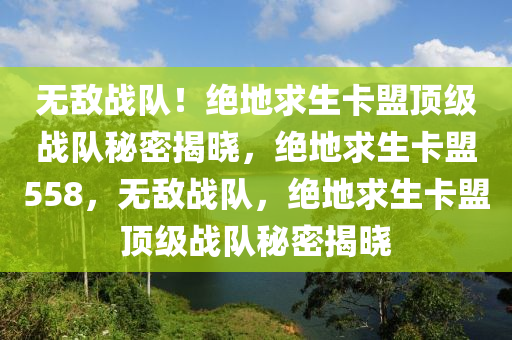 无敌战队！绝地求生卡盟顶级战队秘密揭晓，绝地求生卡盟558，无敌战队，绝地求生卡盟顶级战队秘密揭晓