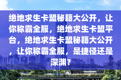 绝地求生卡盟秘籍大公开，让你称霸全服，绝地求生卡盟平台，绝地求生卡盟秘籍大公开，让你称霸全服，是捷径还是深渊？