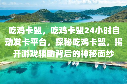 吃鸡卡盟，吃鸡卡盟24小时自动发卡平台，探秘吃鸡卡盟，揭开游戏辅助背后的神秘面纱