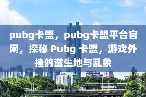 pubg卡盟，pubg卡盟平台官网，探秘 Pubg 卡盟，游戏外挂的滋生地与乱象