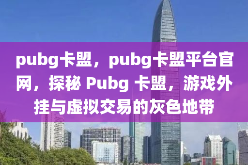 pubg卡盟，pubg卡盟平台官网，探秘 Pubg 卡盟，游戏外挂与虚拟交易的灰色地带