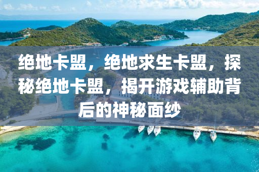 绝地卡盟，绝地求生卡盟，探秘绝地卡盟，揭开游戏辅助背后的神秘面纱