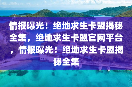 情报曝光！绝地求生卡盟揭秘全集，绝地求生卡盟官网平台，情报曝光！绝地求生卡盟揭秘全集