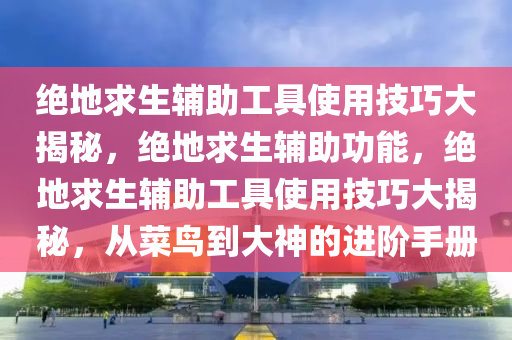绝地求生辅助工具使用技巧大揭秘，绝地求生辅助功能，绝地求生辅助工具使用技巧大揭秘，从菜鸟到大神的进阶手册