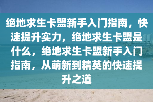 绝地求生卡盟新手入门指南，快速提升实力，绝地求生卡盟是什么，绝地求生卡盟新手入门指南，从萌新到精英的快速提升之道