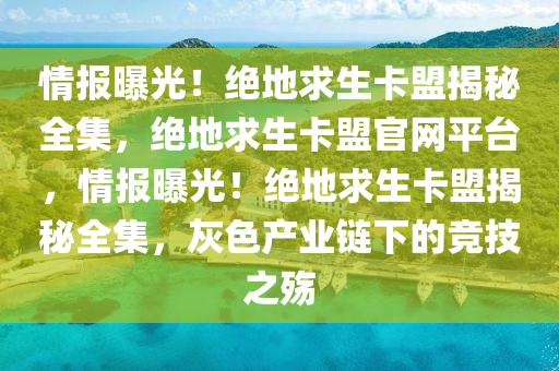 情报曝光！绝地求生卡盟揭秘全集，绝地求生卡盟官网平台，情报曝光！绝地求生卡盟揭秘全集，灰色产业链下的竞技之殇