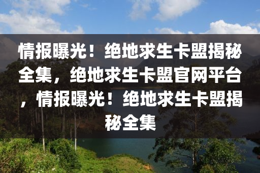 情报曝光！绝地求生卡盟揭秘全集，绝地求生卡盟官网平台，情报曝光！绝地求生卡盟揭秘全集