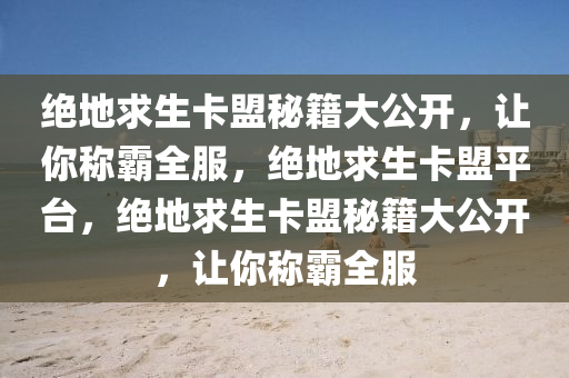 绝地求生卡盟秘籍大公开，让你称霸全服，绝地求生卡盟平台，绝地求生卡盟秘籍大公开，让你称霸全服