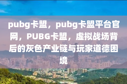 pubg卡盟，pubg卡盟平台官网，PUBG卡盟，虚拟战场背后的灰色产业链与玩家道德困境