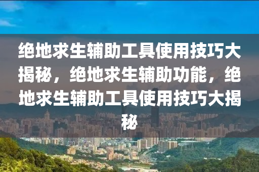 绝地求生辅助工具使用技巧大揭秘，绝地求生辅助功能，绝地求生辅助工具使用技巧大揭秘