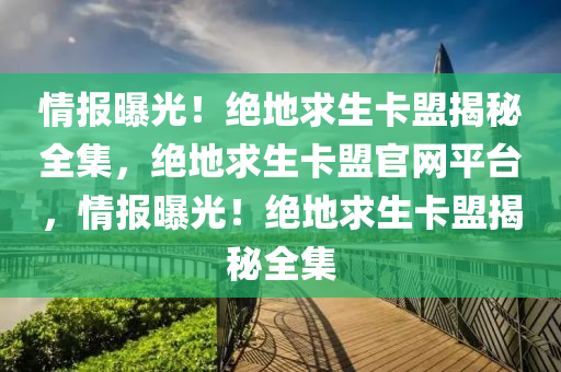 情报曝光！绝地求生卡盟揭秘全集，绝地求生卡盟官网平台，情报曝光！绝地求生卡盟揭秘全集