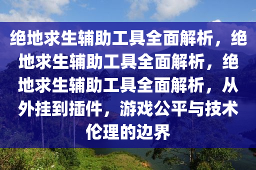 绝地求生辅助工具全面解析，绝地求生辅助工具全面解析，绝地求生辅助工具全面解析，从外挂到插件，游戏公平与技术伦理的边界
